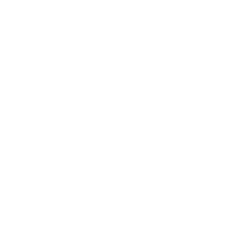 Icono de flecha hacia abajo